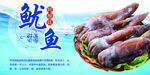 阿根廷鱿鱼