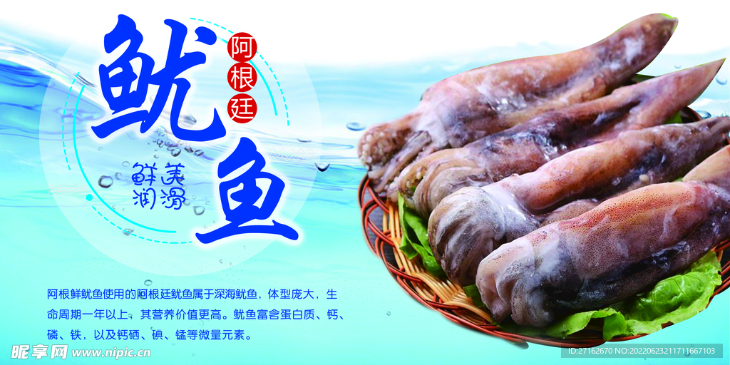 阿根廷鱿鱼