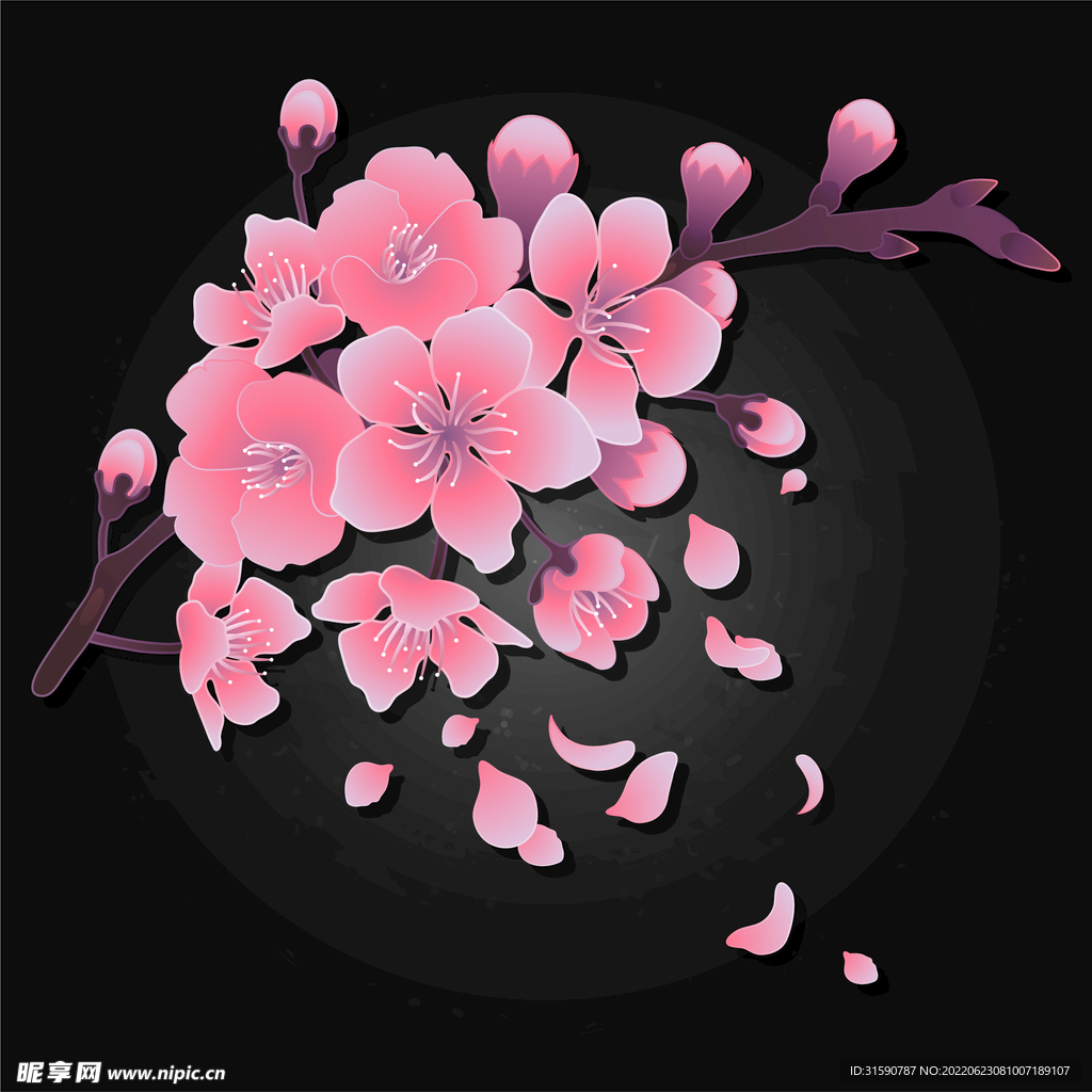 彩色花卉图案
