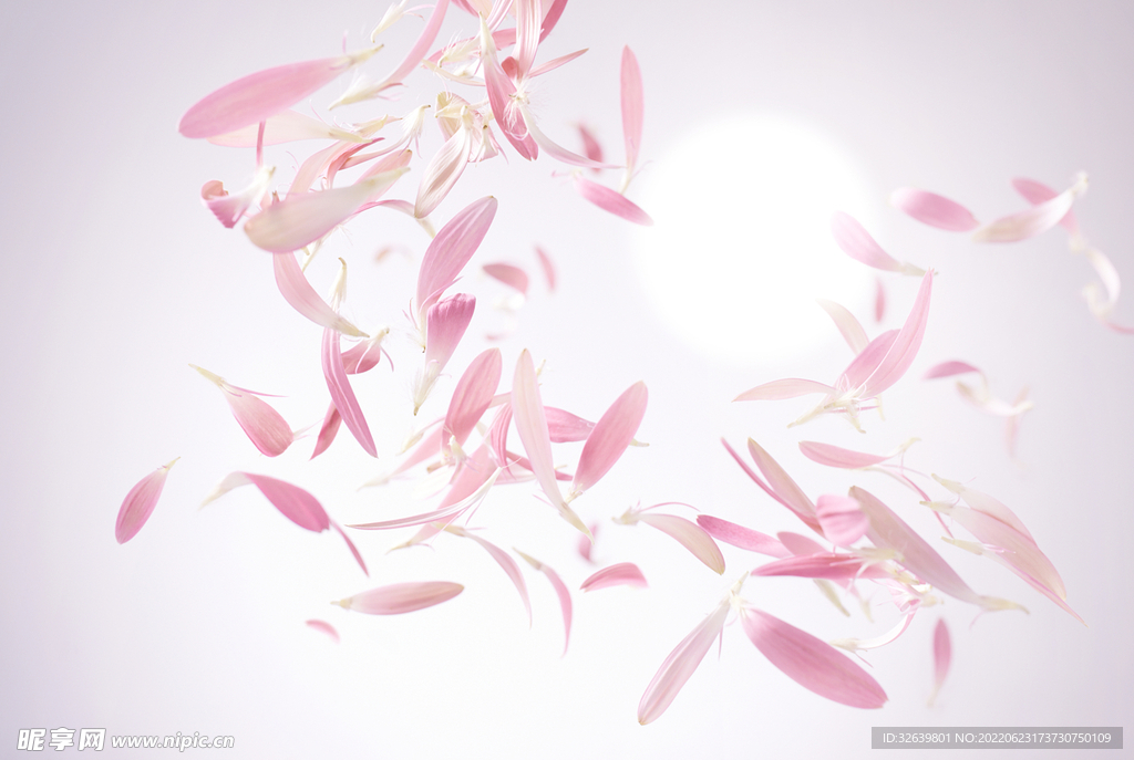 粉色花瓣