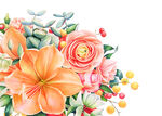 花朵水彩插画