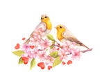 花朵与鸟