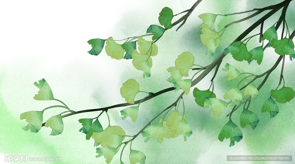风景插画