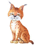 水彩山猫