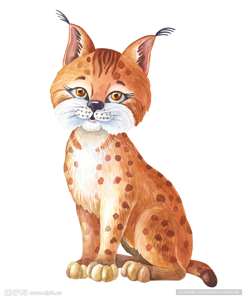 水彩山猫