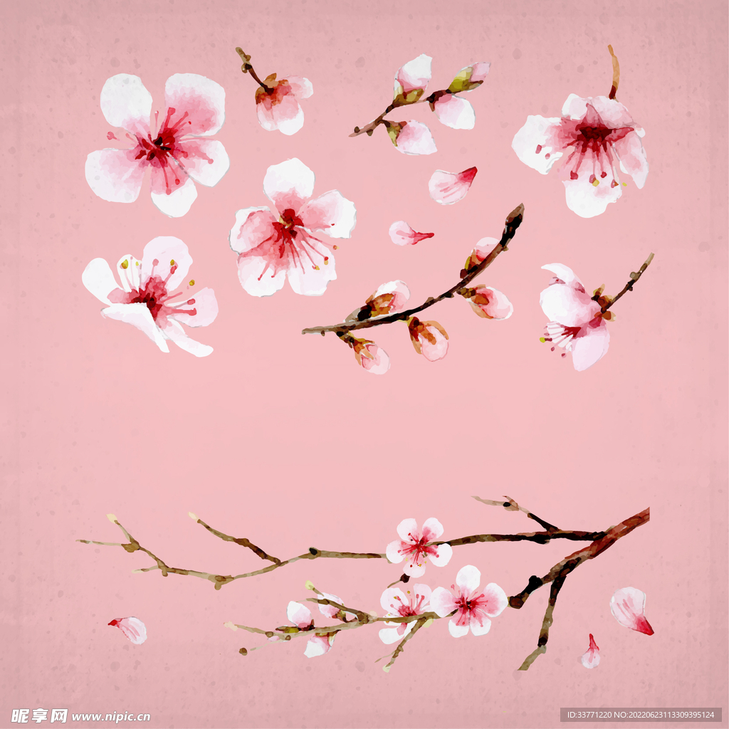 粉色桃花