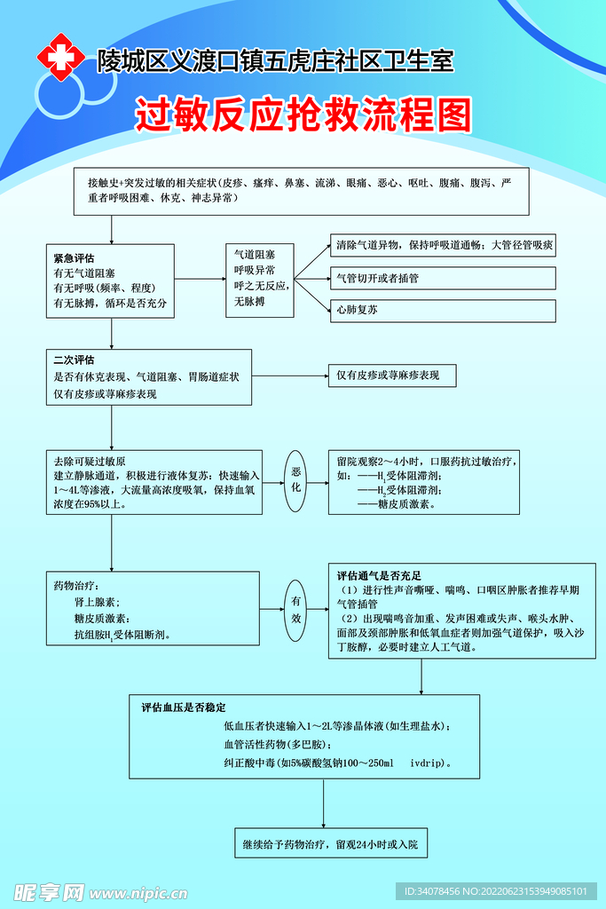 过敏反应流程