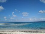 大海