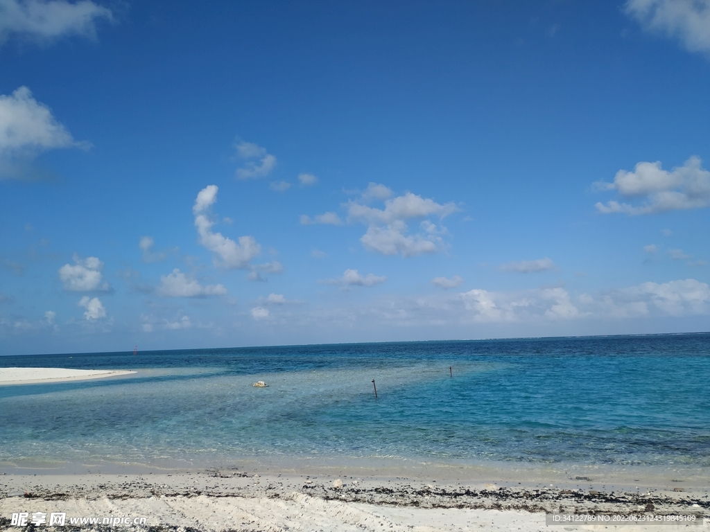 大海