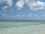 大海