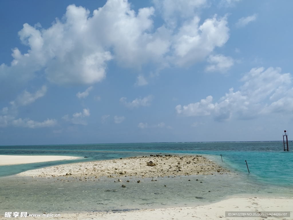 海