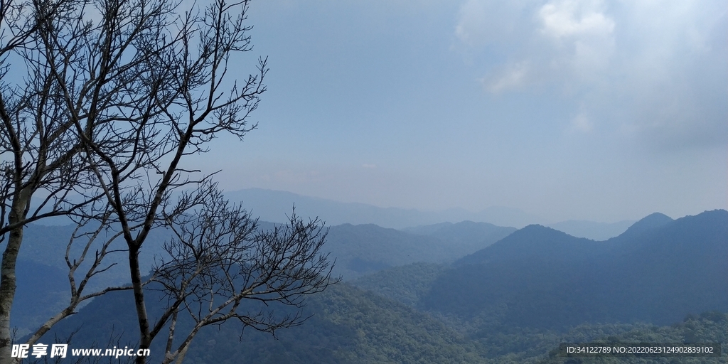 山