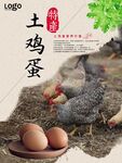 土鸡蛋