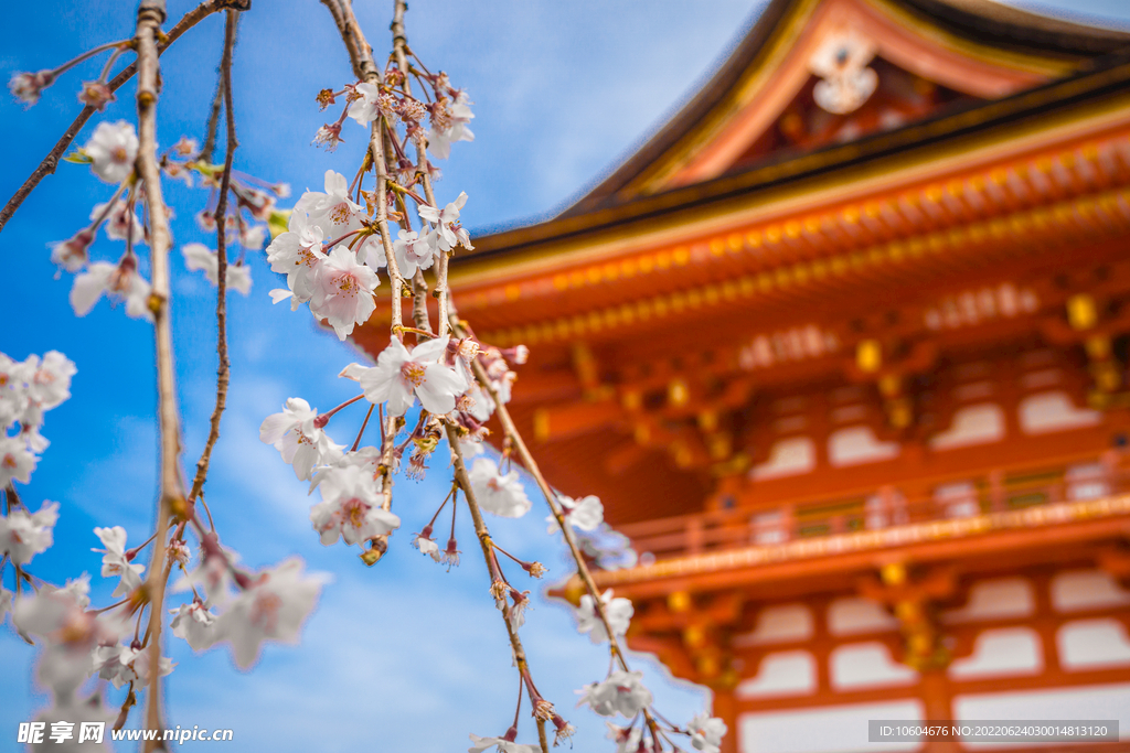 古建筑寺庙 