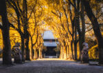 古建筑寺庙 