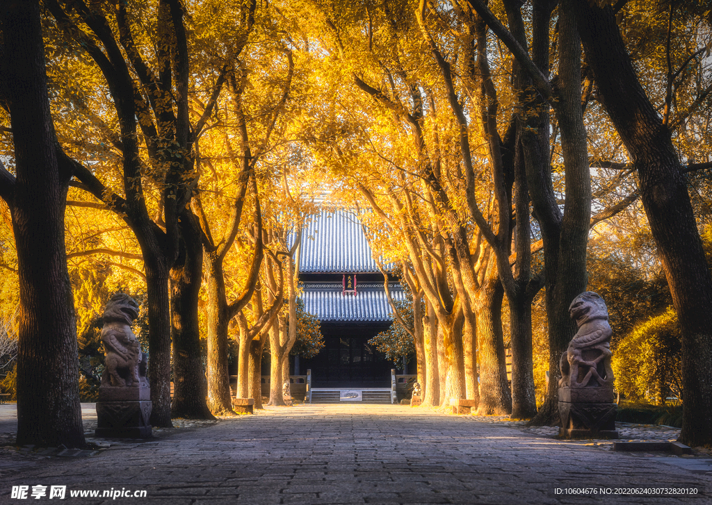 古建筑寺庙 