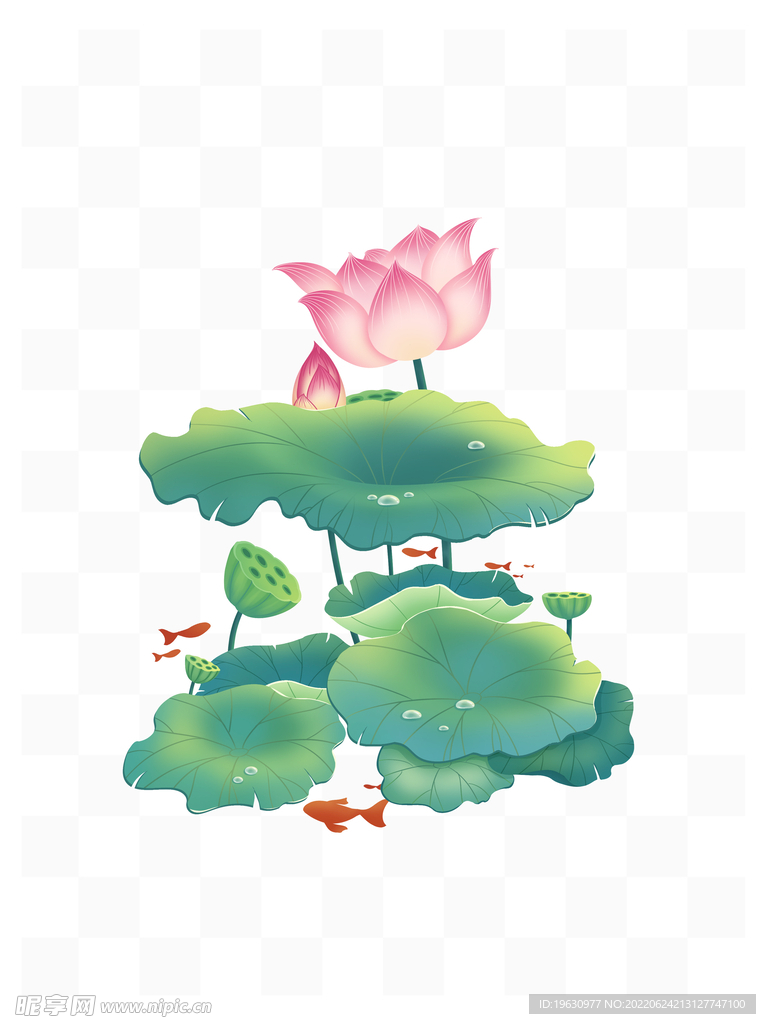 荷叶