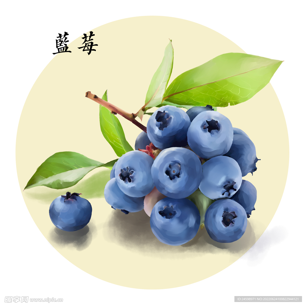 蓝莓手绘