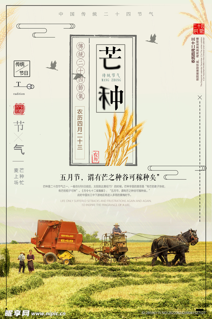 芒种             