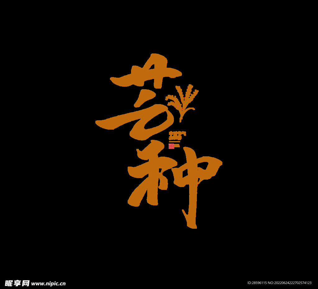 芒种插画           