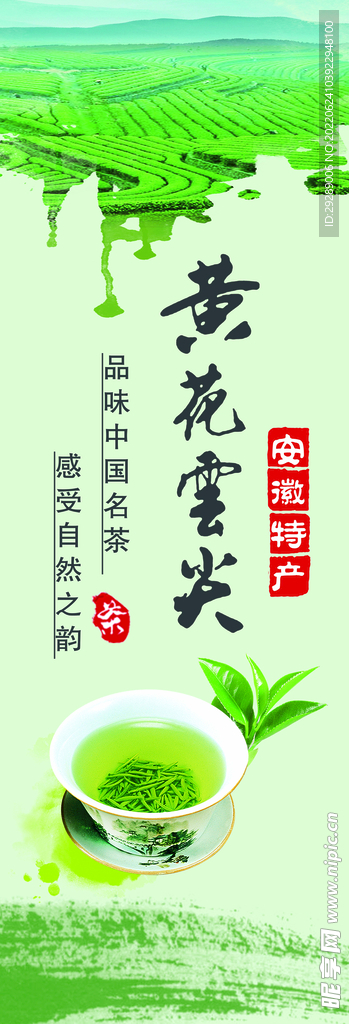 黄花云尖茶