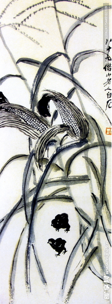 玉米小鸡