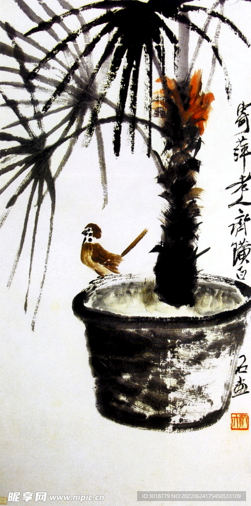 棕树