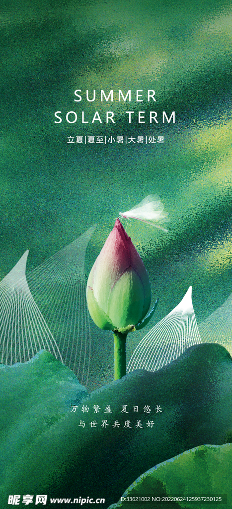 小暑  