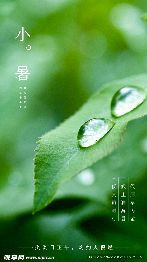 小暑 