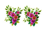 千牛花