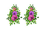 紫色玫红色花