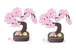 盆景梅花