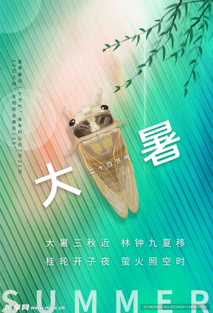 大暑海报