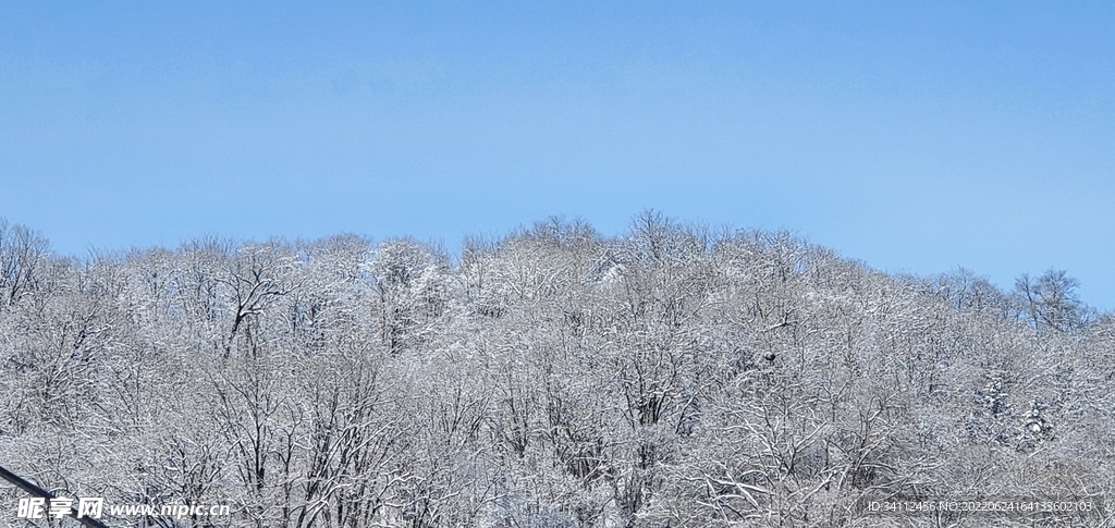 山雪