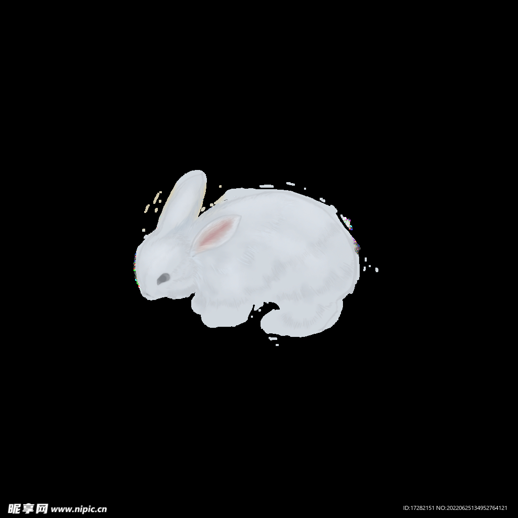 中秋插画   可爱卡通兔子  