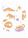 家庭萌宠猫