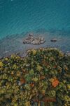海滩