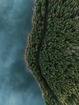海岛 
