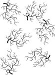 黑白树桠
