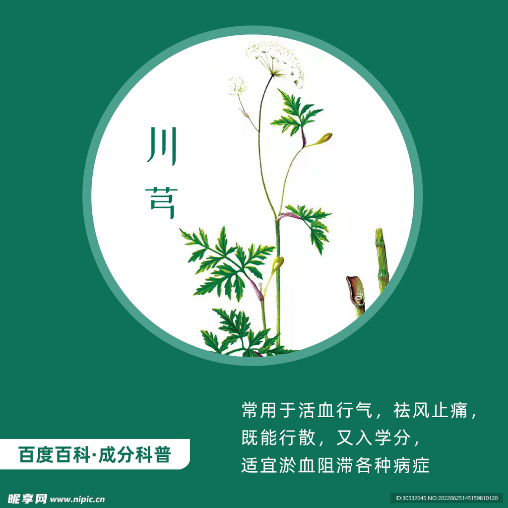 中草药川芎