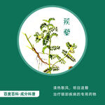 中草药蒺藜