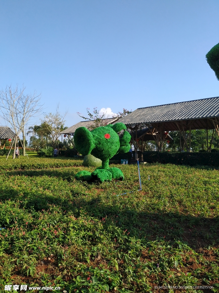 植物