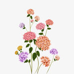 手绘鲜花素材