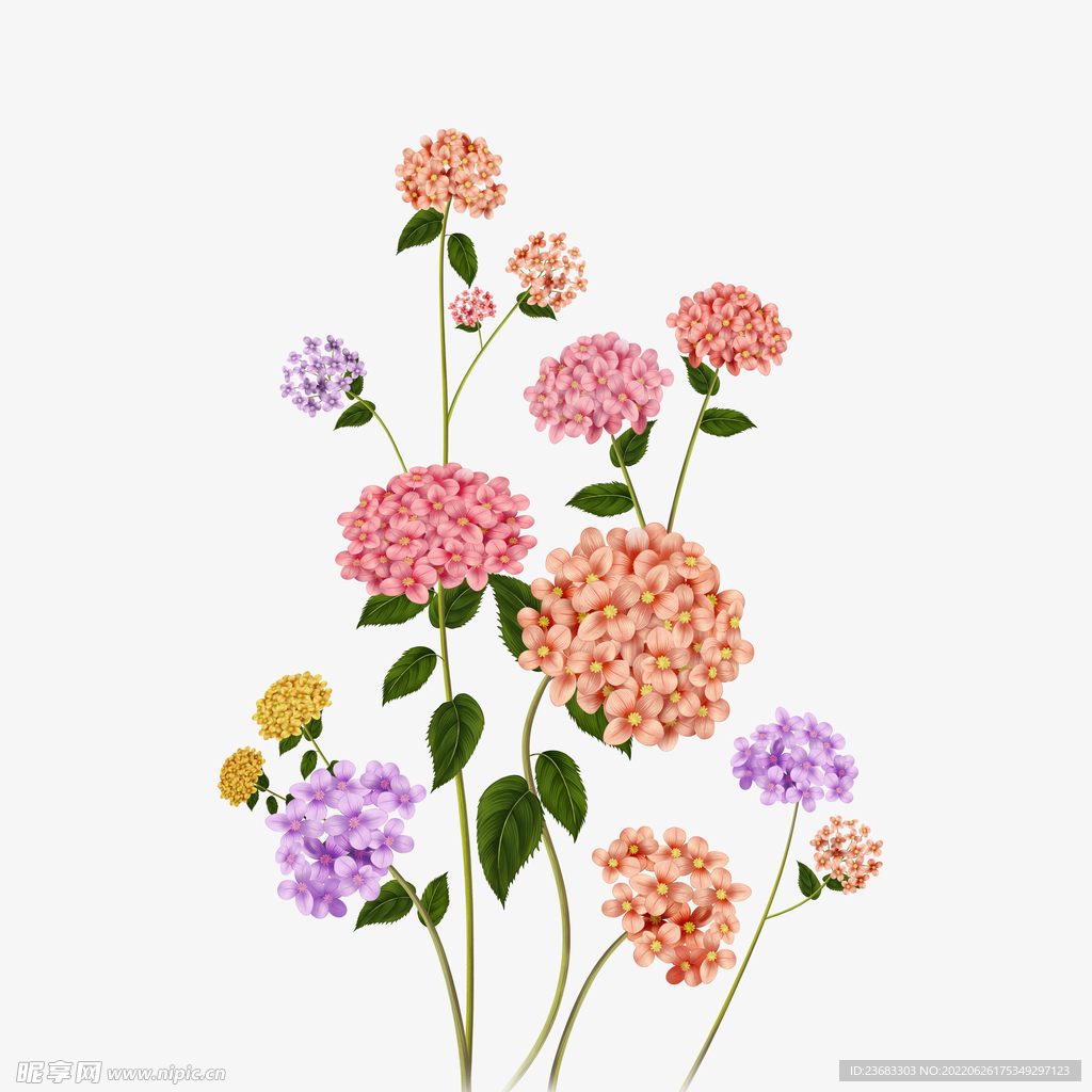 手绘鲜花素材