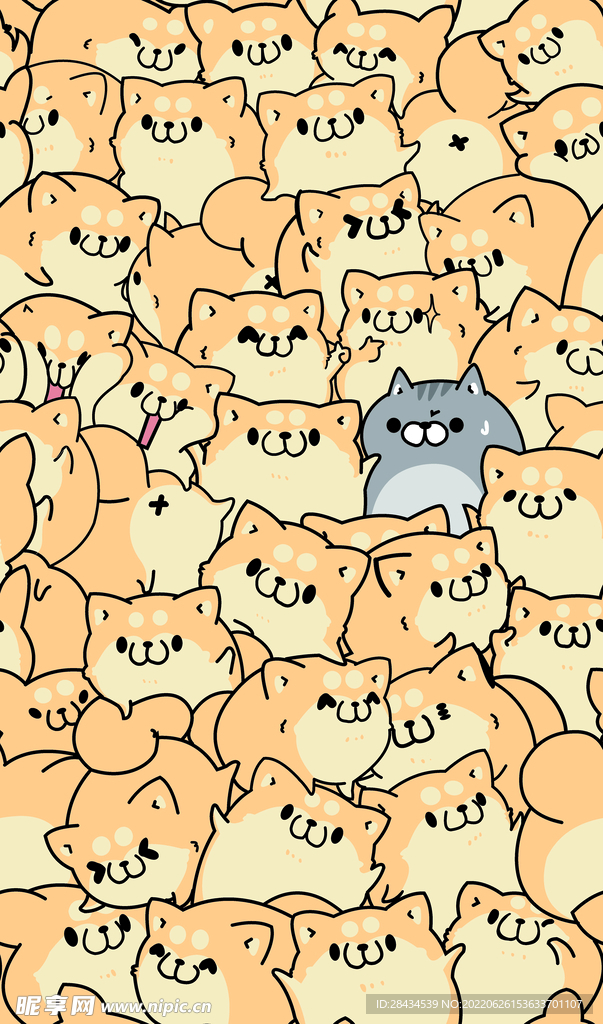 小猫咪