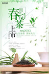 春茶