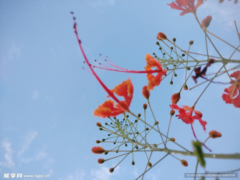 天空