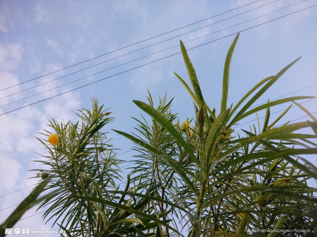 雨后