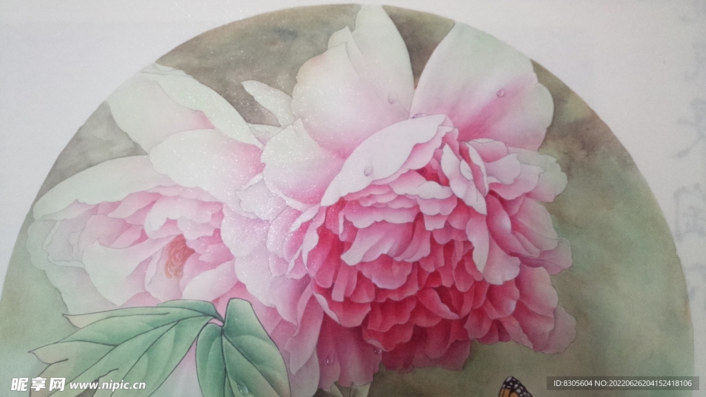牡丹