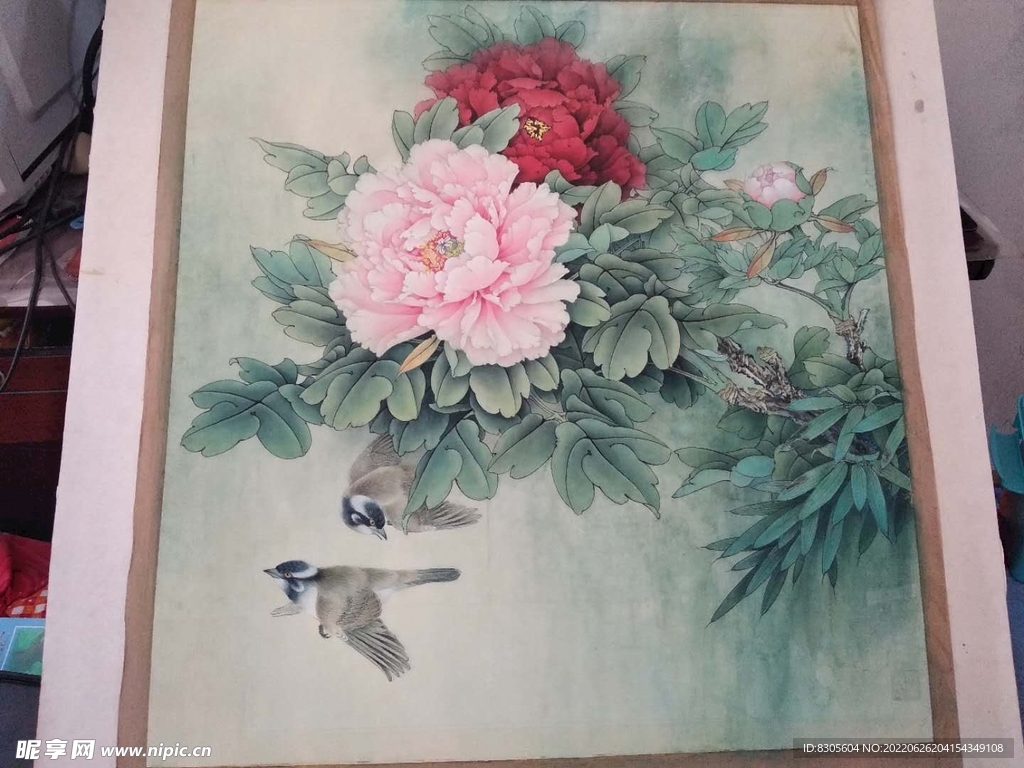 牡丹小鸟